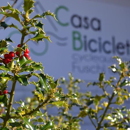 Casa Bicicletta Apartment Фушл ам Зее Екстериор снимка